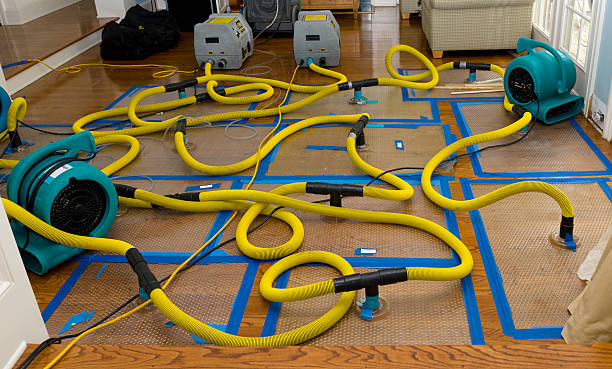 Professional Water Extraction technician working in Mesquite, NV
